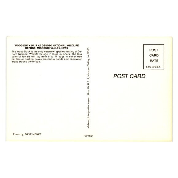 Wood Duck Pair Desoto National Wildlife Refuge Postcard Photo By Dave Menke - Picture 2 of 2